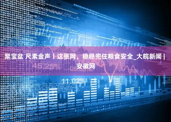 聚宝盆 尺素金声丨这张网，稳稳兜住粮食安全_大皖新闻 | 安徽网