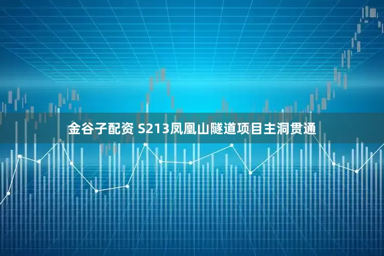 金谷子配资 S213凤凰山隧道项目主洞贯通