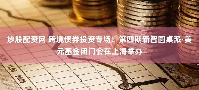 炒股配资网 跨境债券投资专场！第四期新智圆桌派·美元基金闭门会在上海举办
