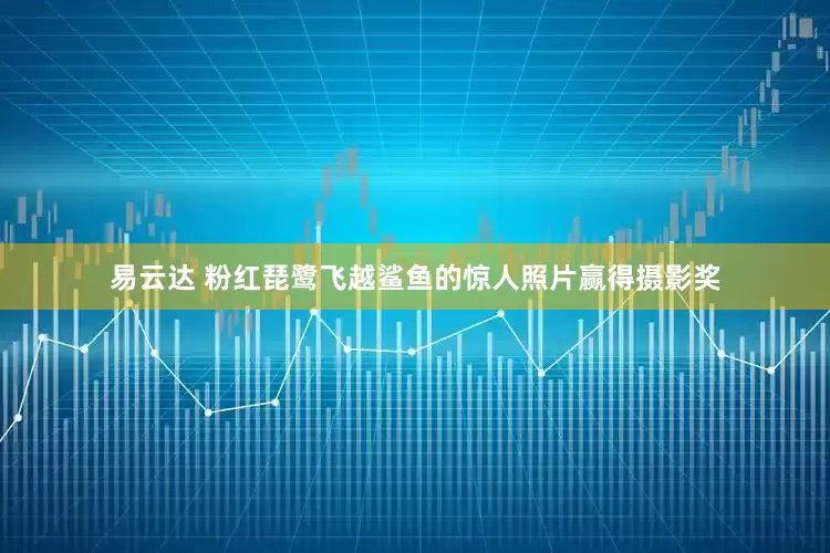 易云达 粉红琵鹭飞越鲨鱼的惊人照片赢得摄影奖